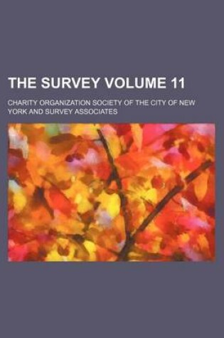 Cover of The Survey Volume 11