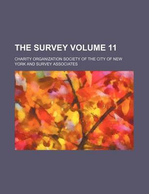 Book cover for The Survey Volume 11