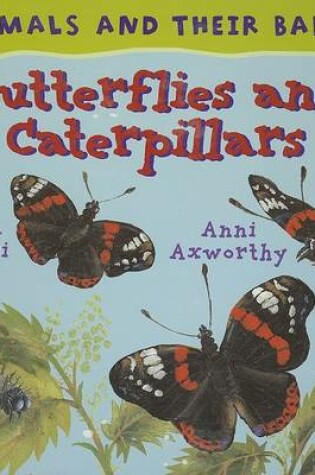 Cover of Butterflies and Caterpillars