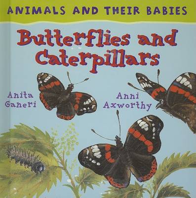 Cover of Butterflies and Caterpillars