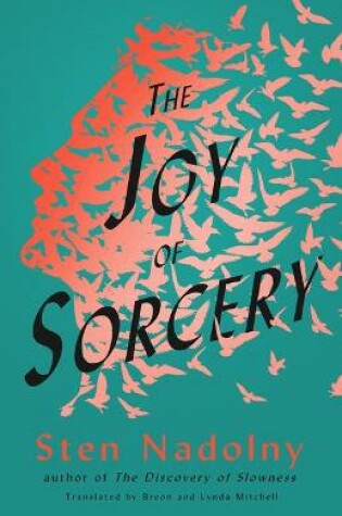 Cover of The Joy of Sorcery