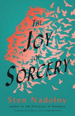 Book cover for The Joy of Sorcery