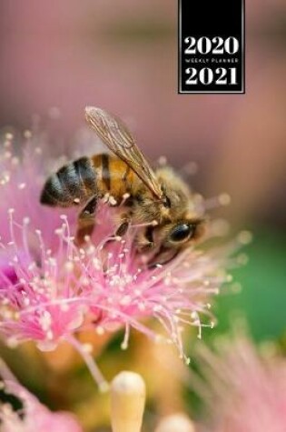 Cover of Bee Insects Beekeeping Beekeeper Week Planner Weekly Organizer Calendar 2020 / 2021 - Very Hungry