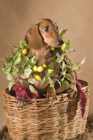 Cover of Dachshund Weiner Dog Gift Basket (for the Love of Dogs)