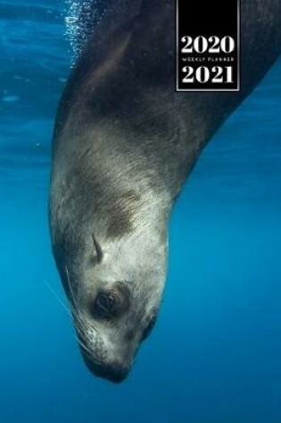 Cover of Seal Manatee Sea Lion Cow Walrus Dugong Week Planner Weekly Organizer Calendar 2020 / 2021 - Dive In