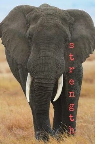 Cover of Strength