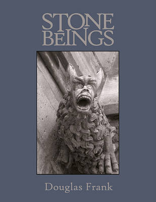 Book cover for Stone Beings