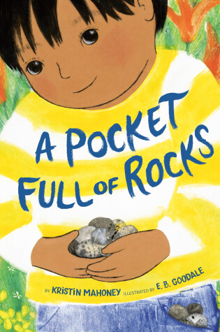 Cover of A Pocket Full of Rocks