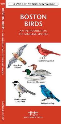 Book cover for Boston Birds