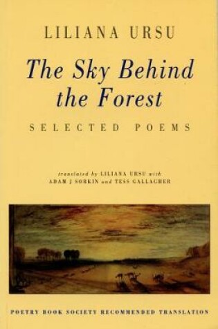 Cover of The Sky Behind the Forest