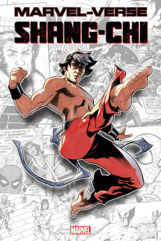 Book cover for MARVEL-VERSE: SHANG-CHI