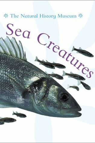 Cover of Sea Creatures