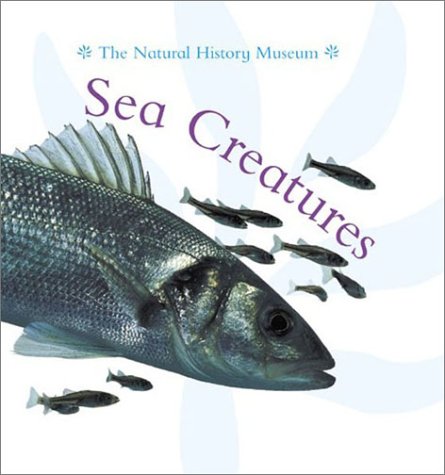 Book cover for Sea Creatures