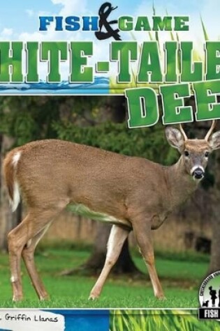 Cover of White-Tailed Deer