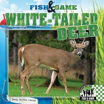 Book cover for White-Tailed Deer