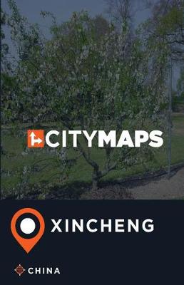 Book cover for City Maps Xincheng China