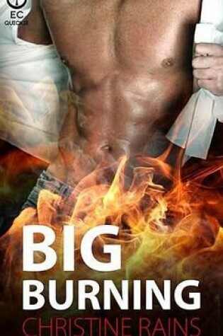 Cover of Big Burning