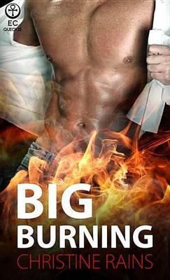 Book cover for Big Burning