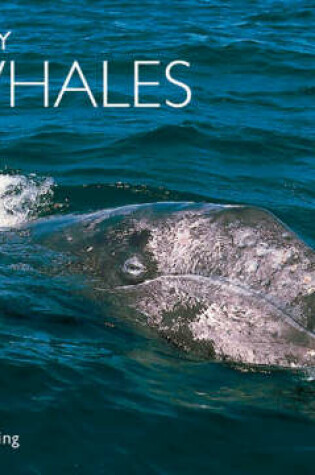 Cover of Gray Whales