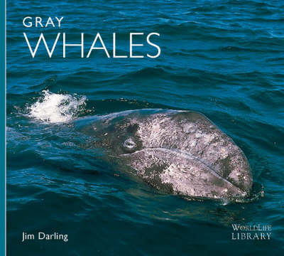 Cover of Gray Whales