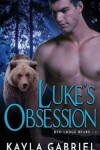 Book cover for Luke's Obsession