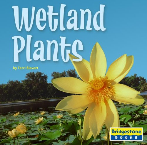 Book cover for Wetland Plants