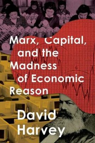 Cover of Marx, Capital, and the Madness of Economic Reason