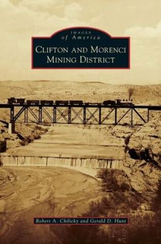 Cover of Clifton and Morenci Mining District