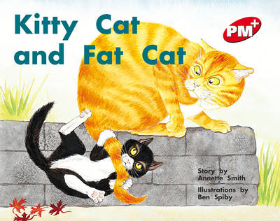 Book cover for Kitty Cat and Fat Cat