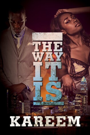 Cover of The Way It Is