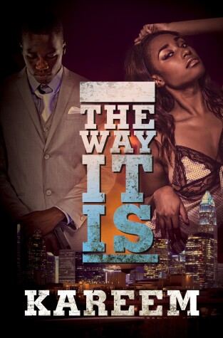 Book cover for The Way It Is