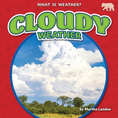 Book cover for Cloudy Weather