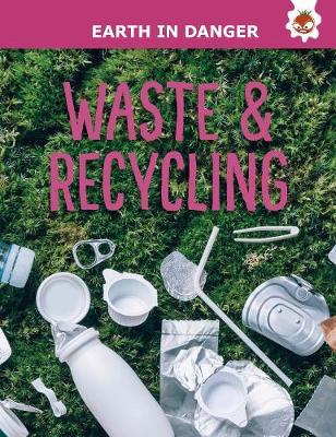 Book cover for Waste & Recycling