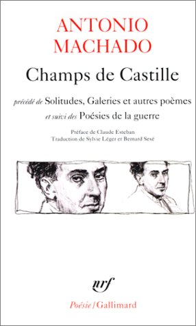 Book cover for Champs de Castille