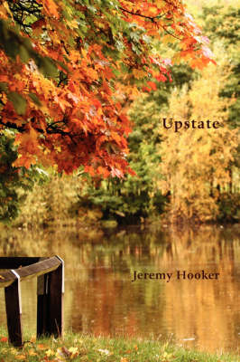 Book cover for Upstate