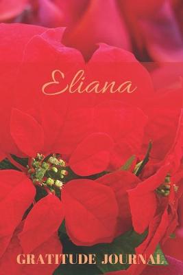 Book cover for Eliana Gratitude Journal