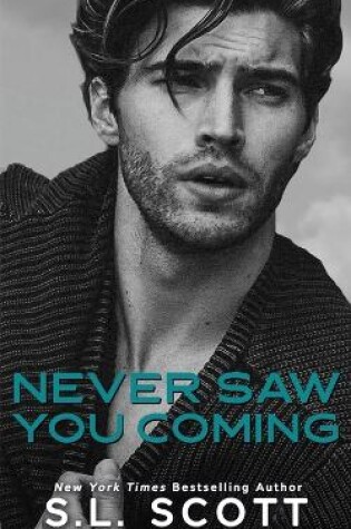 Cover of Never Saw You Coming