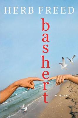 Book cover for Bashert