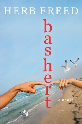 Cover of Bashert