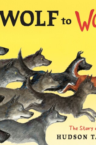 Cover of From Wolf to Woof