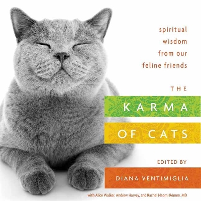 Book cover for The Karma of Cats