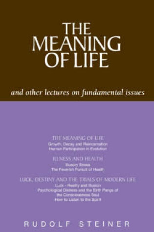 Cover of The Meaning of Life and Other Lectures on Fundamental Issues