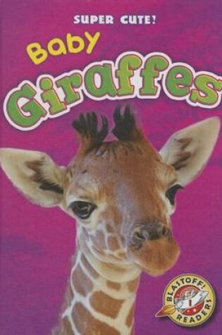 Cover of Baby Giraffes