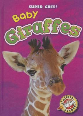 Book cover for Baby Giraffes