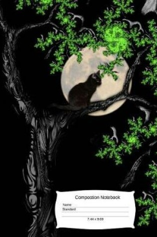 Cover of Cat In A DarkNight