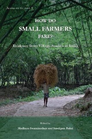 Cover of How Do Small Farmers Fare? – Evidence from Village Studies in India