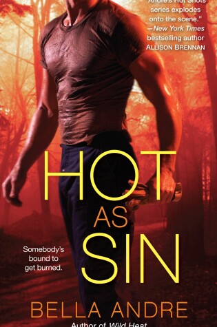 Cover of Hot as Sin
