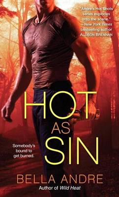Book cover for Hot as Sin