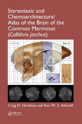 Cover of Stereotaxic and Chemoarchitectural Atlas of the Brain of the Common Marmoset (Callithrix jacchus)