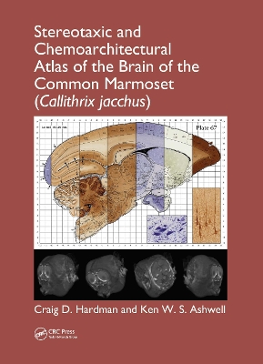 Book cover for Stereotaxic and Chemoarchitectural Atlas of the Brain of the Common Marmoset (Callithrix jacchus)